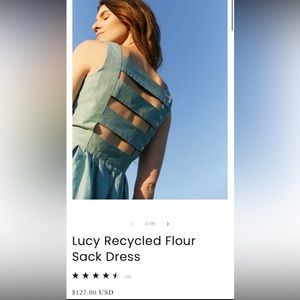 Liz Alig recycled dress